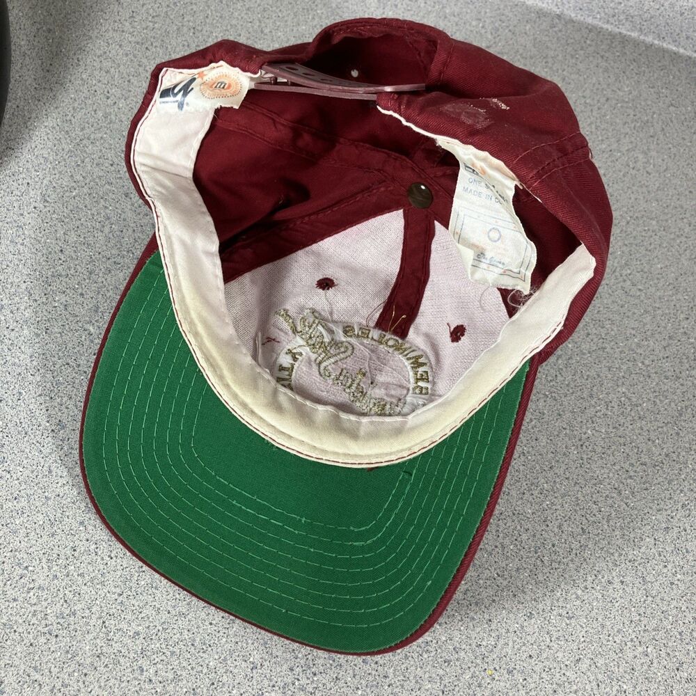 Vtg Retro FSU Hat Cap Spellout Florida State Seminoles Big Logo Noles Snapback - Picture 8 of 12